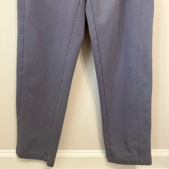 Athleta Retroterry Tapered Ankle Pant Mid Rise Stretch Drawstring Purple Sz PM - Picture 6 of 11